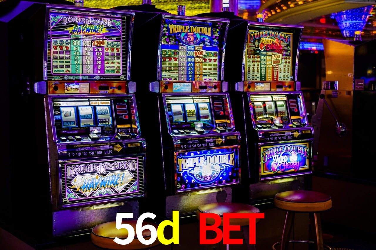 Experiência VIP 56d bet