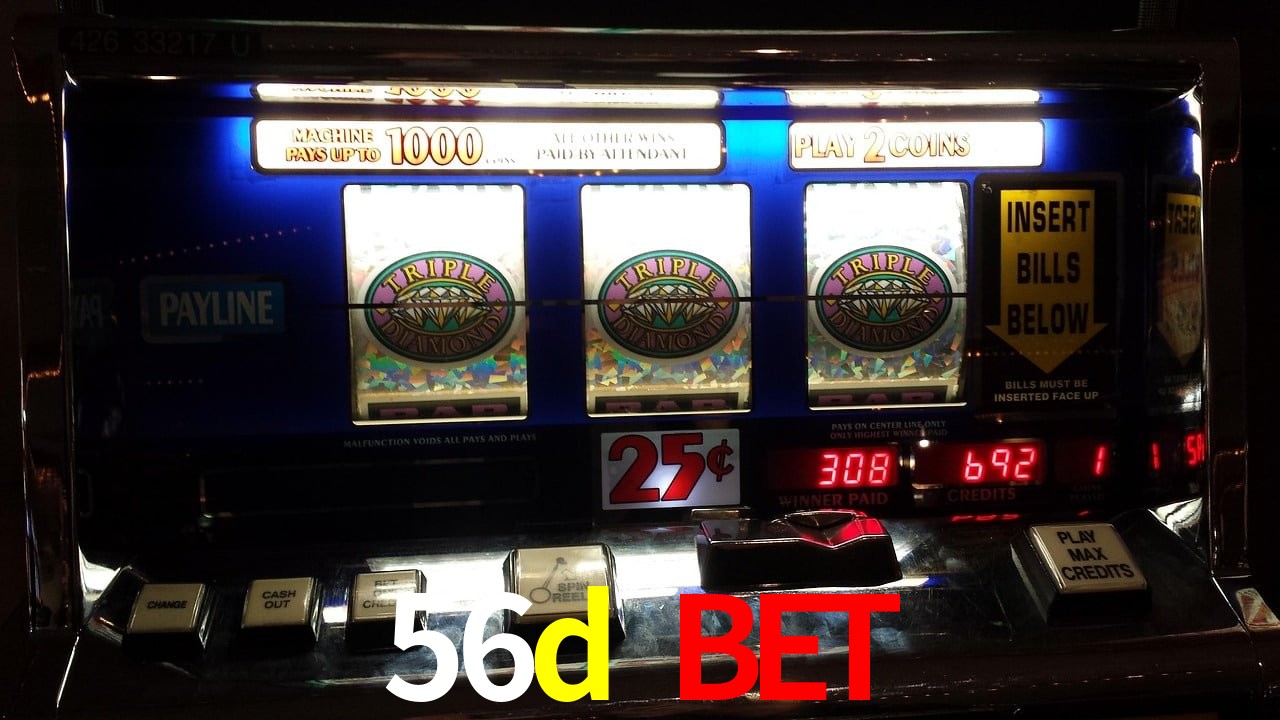 Basketball Betting 56d bet